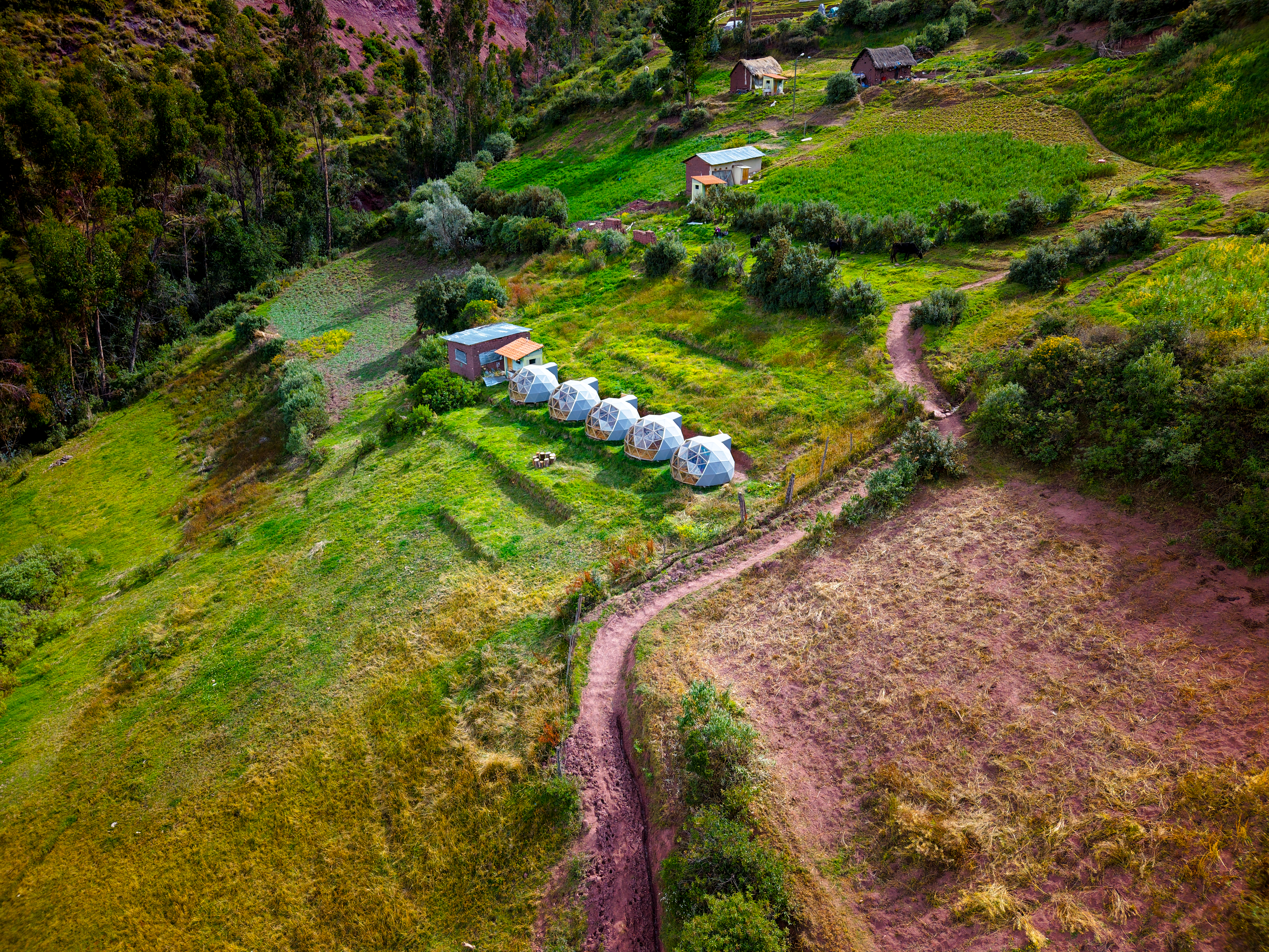 Tours By Carlos — Peru